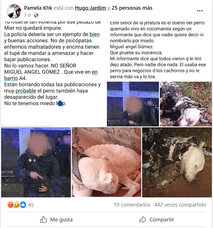 denuncia - 1