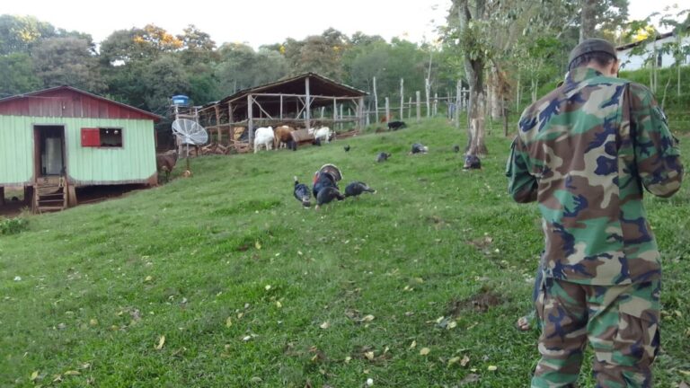 Ecología trabaja con vecinos del Parque Urugua-í para resaltar el valor de las barreras ambientales