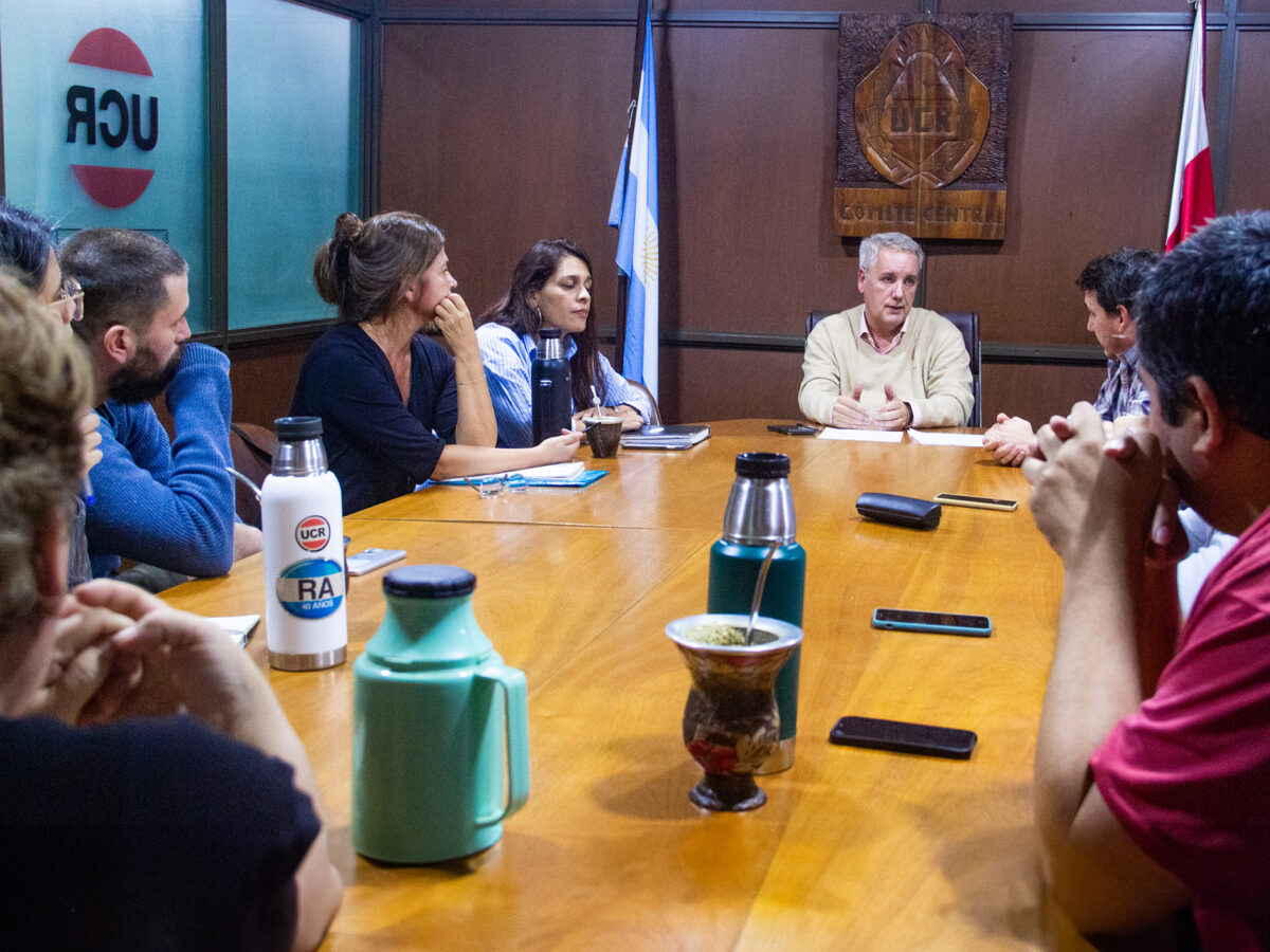 La UCR Misiones renovó autoridades: Rodrigo De Arrechea asumió la presidencia