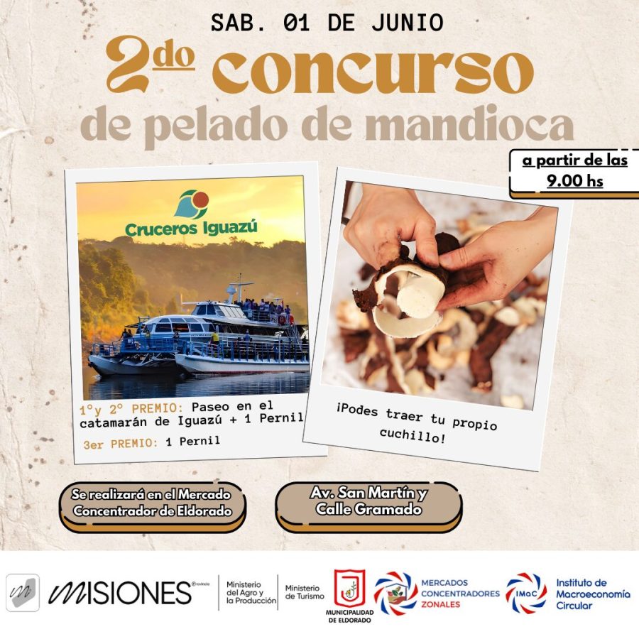 Eldorado será sede del concurso de pelado de mandioca 1 2 - 2do concurso mandioca 1 - 1