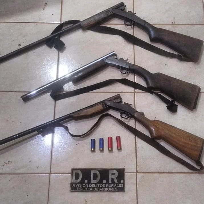 Atraparon a 6 cazadores e incautaron 9 armas en distintos operativos en Misiones 1 - 3