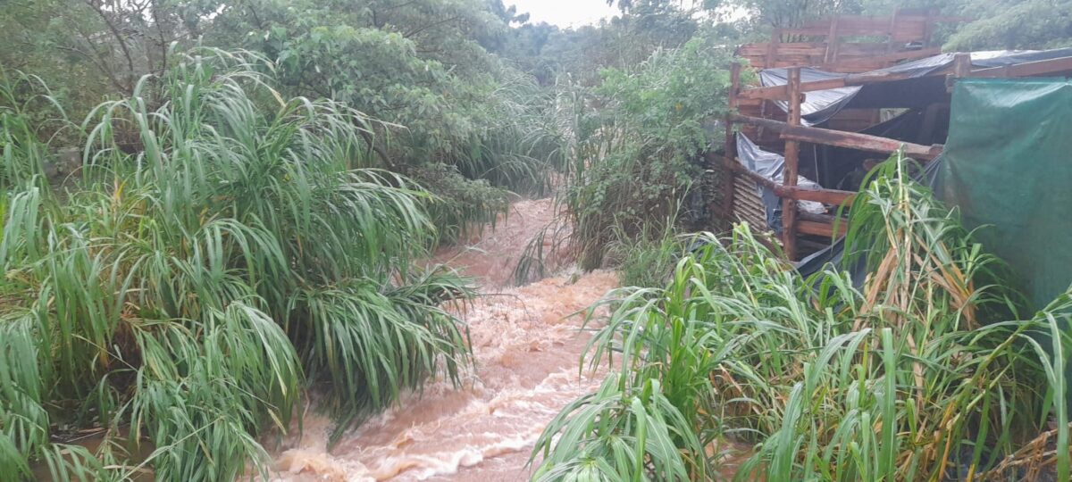 Brindan asistencia a familias afectadas por la tormenta en Misiones 7 - 13