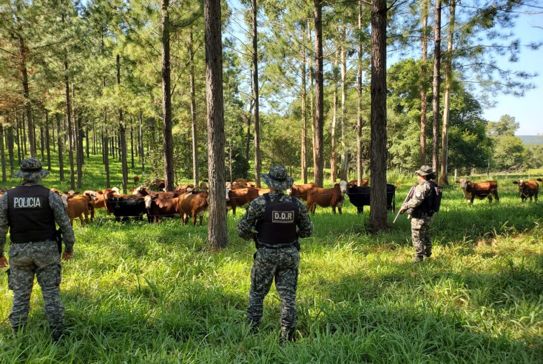 Con avances tecnológicos y mayor presencia en el territorio, Misiones fortalece su seguridad integral