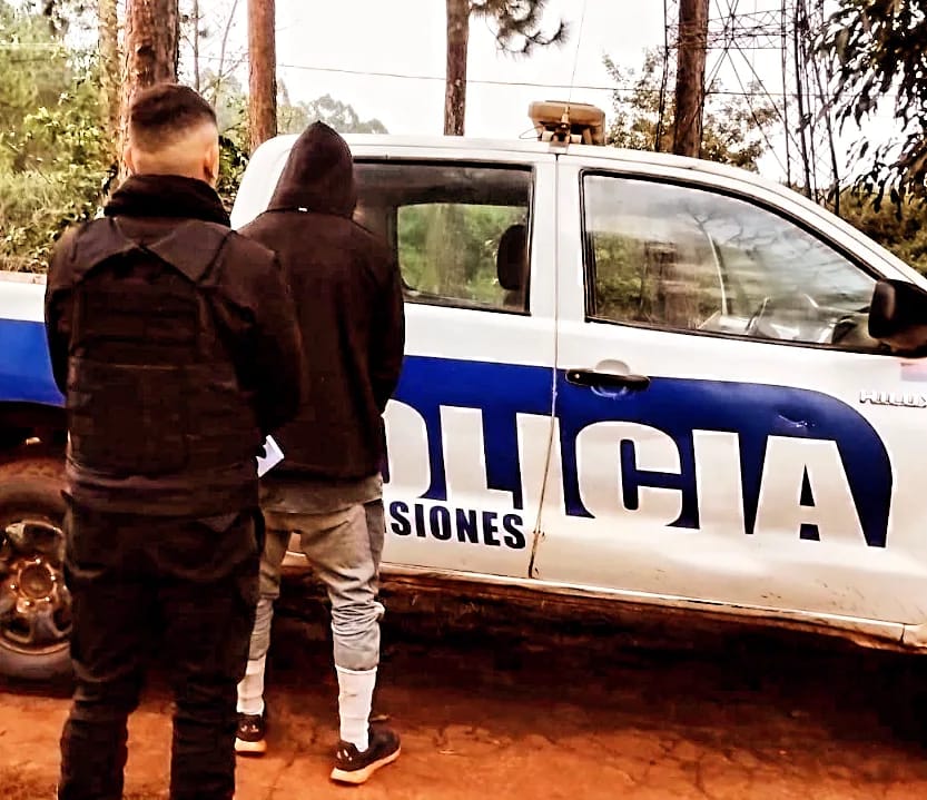 Operativos de seguridad permitieron recuperar bienes robados y detener a 10 hombres en Misiones 2 - 9
