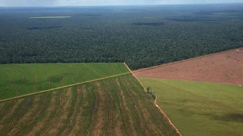 ley de tierras