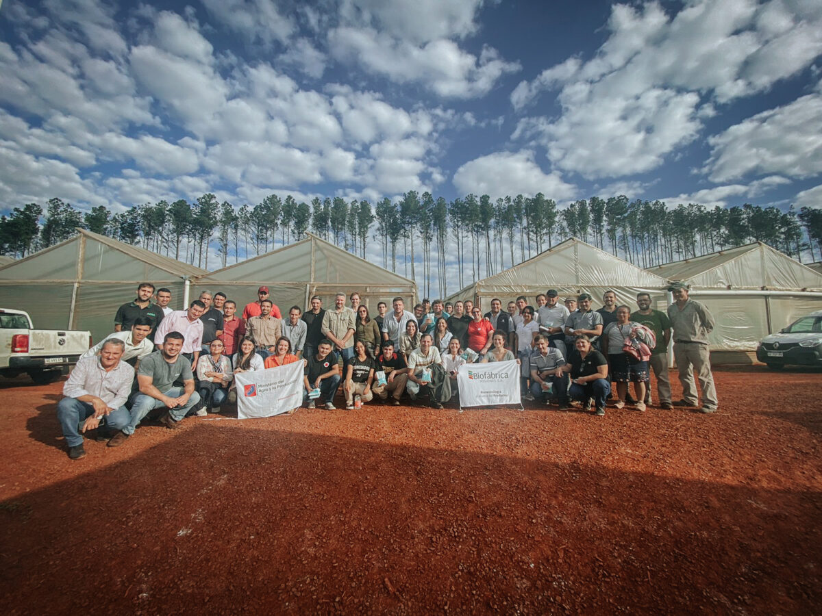 Capacitaron a productores misioneros sobre el monitoreo y control de plagas 1 - 1