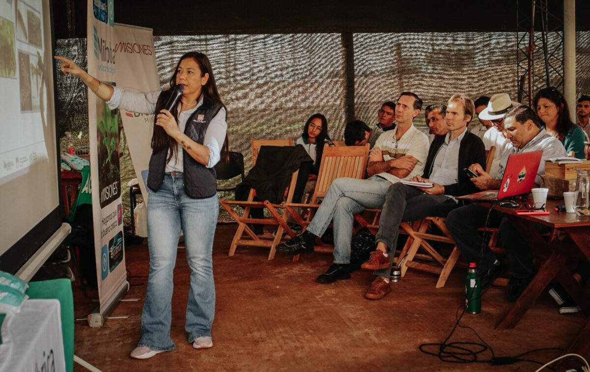 Capacitaron a productores misioneros sobre el monitoreo y control de plagas 4 - 7