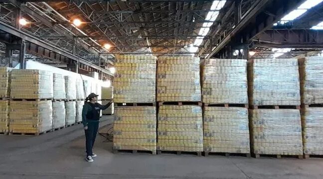 Gendarmería allanó el depósito de Capital Humano y encontró casi 3 toneladas de alimentos por vencer