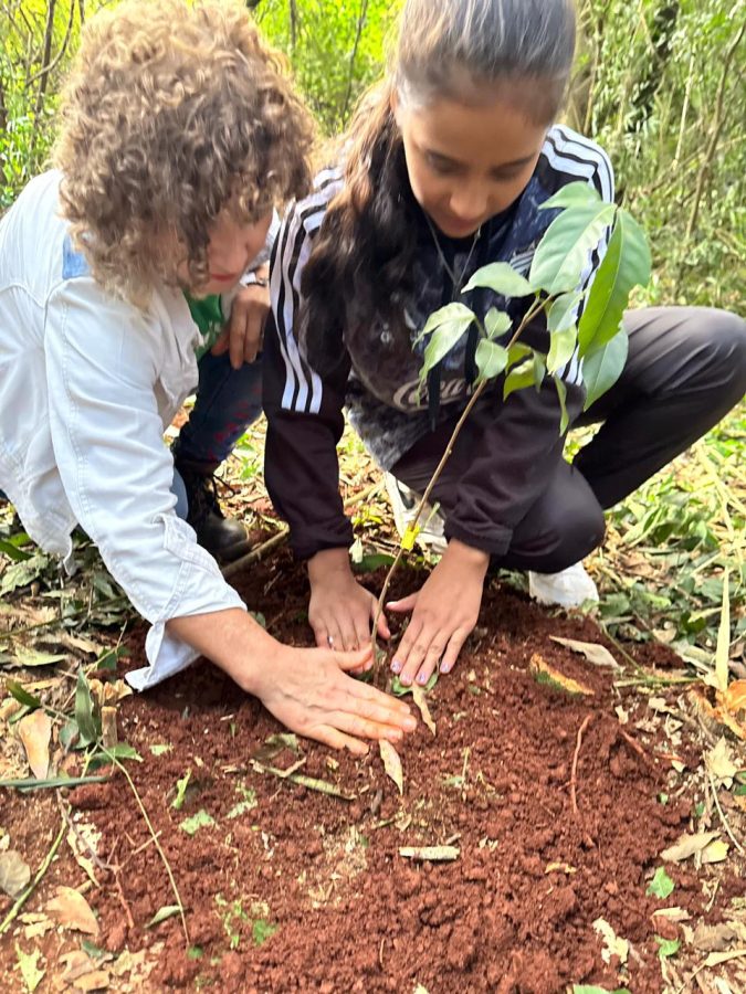Plantaron mas de 150 arboles mediante el Pacto con la Tierra sin mal en la EFA de Los Helechos 5 - 3