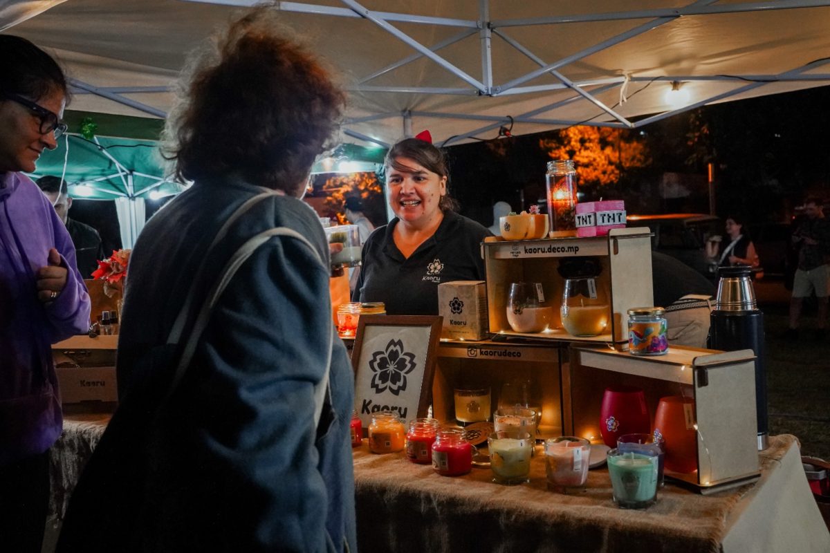 Posadas se ilumino con el festival de San Juan a pura magia y tradicion 3 - 9
