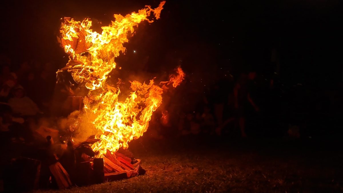 Posadas se ilumino con el festival de San Juan a pura magia y tradicion 6 - 3