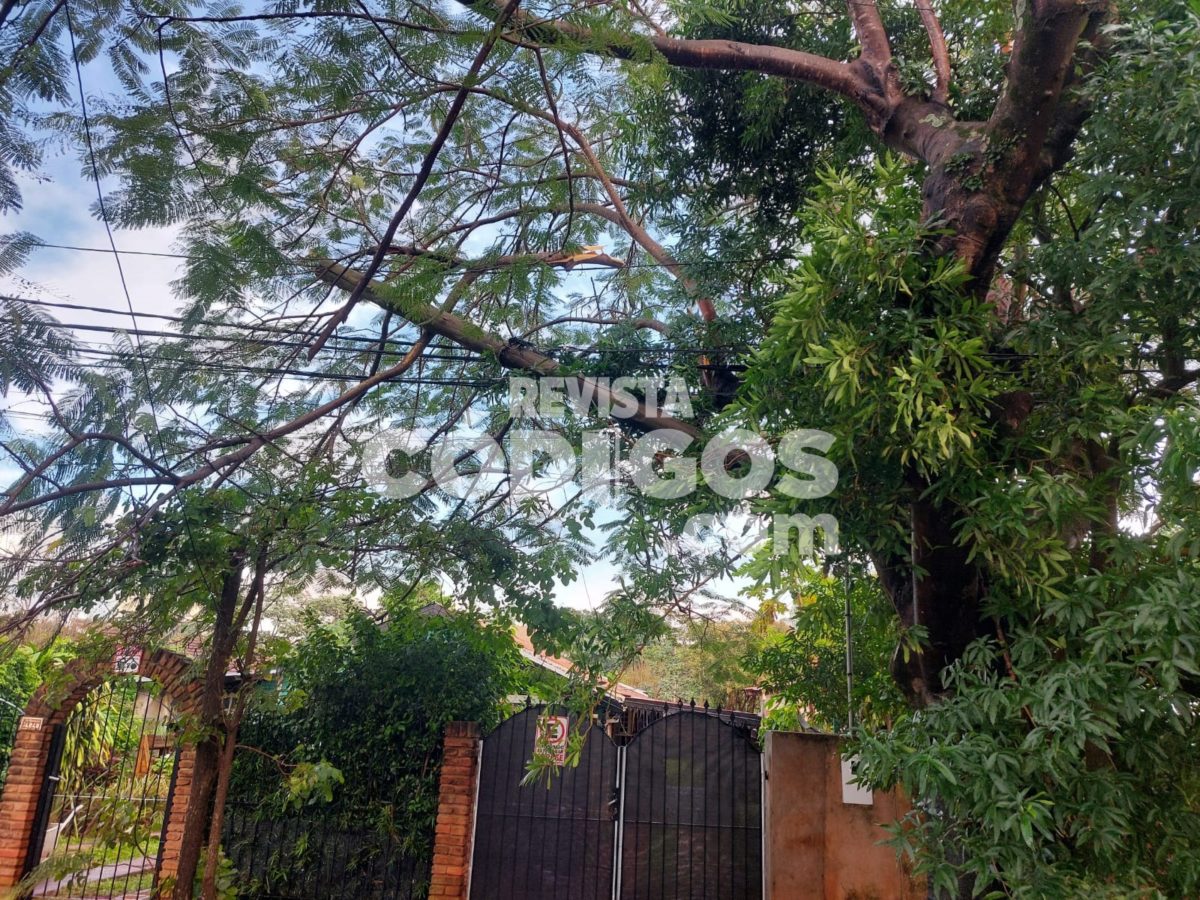 choque de cable camion 8 - 1