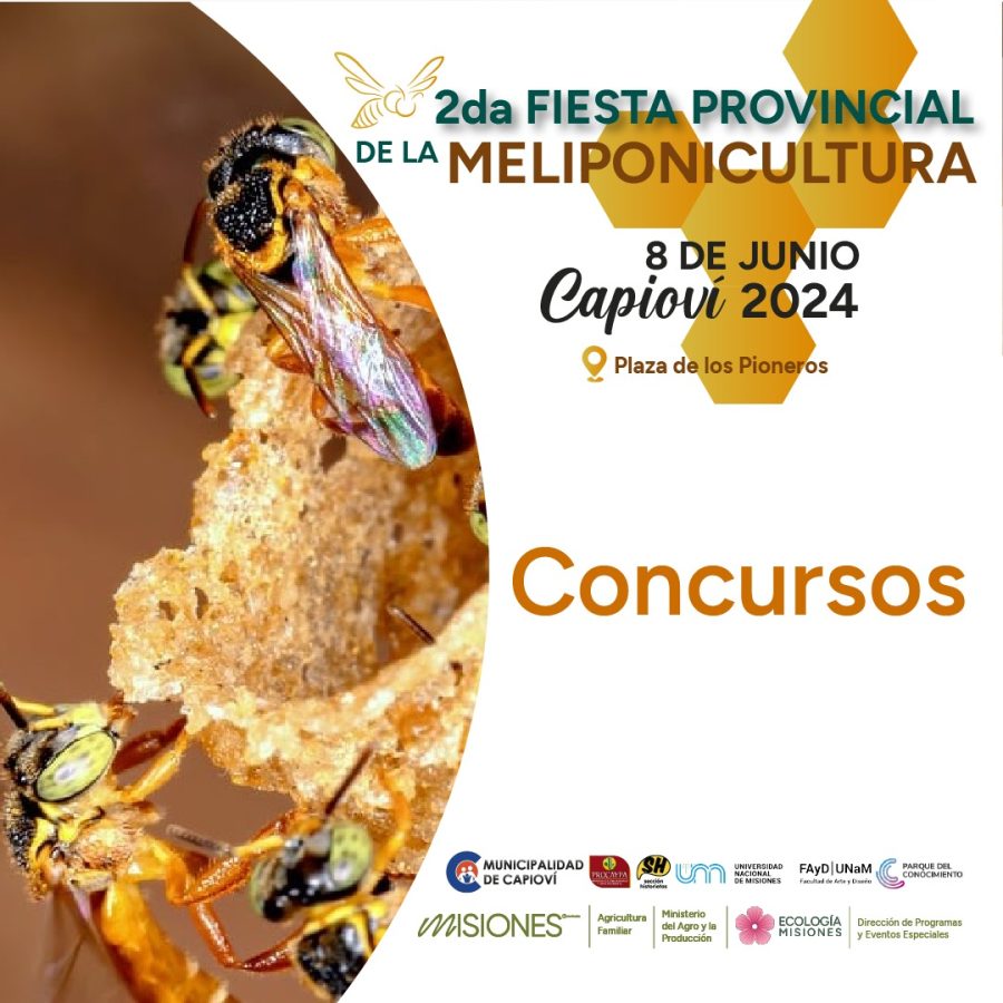 concurso 1 - 29