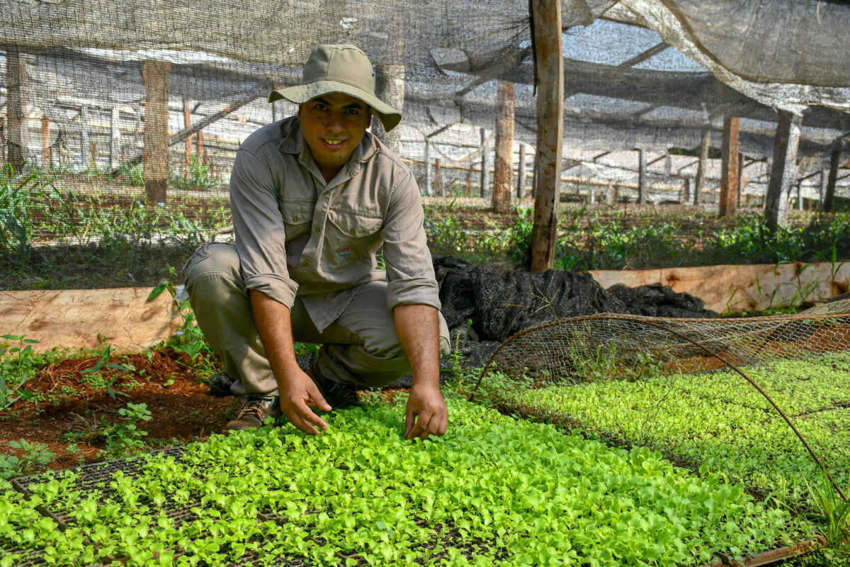 Posadas se prepara para el 42º Congreso Argentino de Horticultura