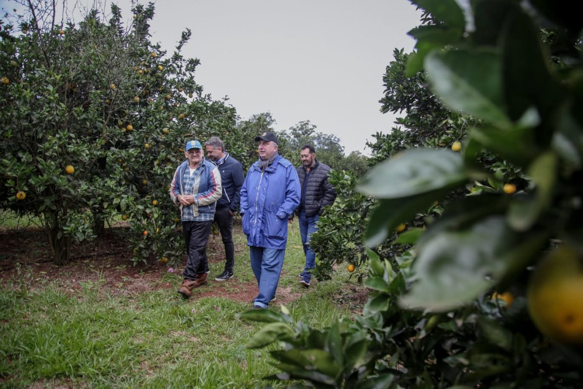 Misiones fortalece su producción orgánica y avanza hacia el desarrollo sostenible