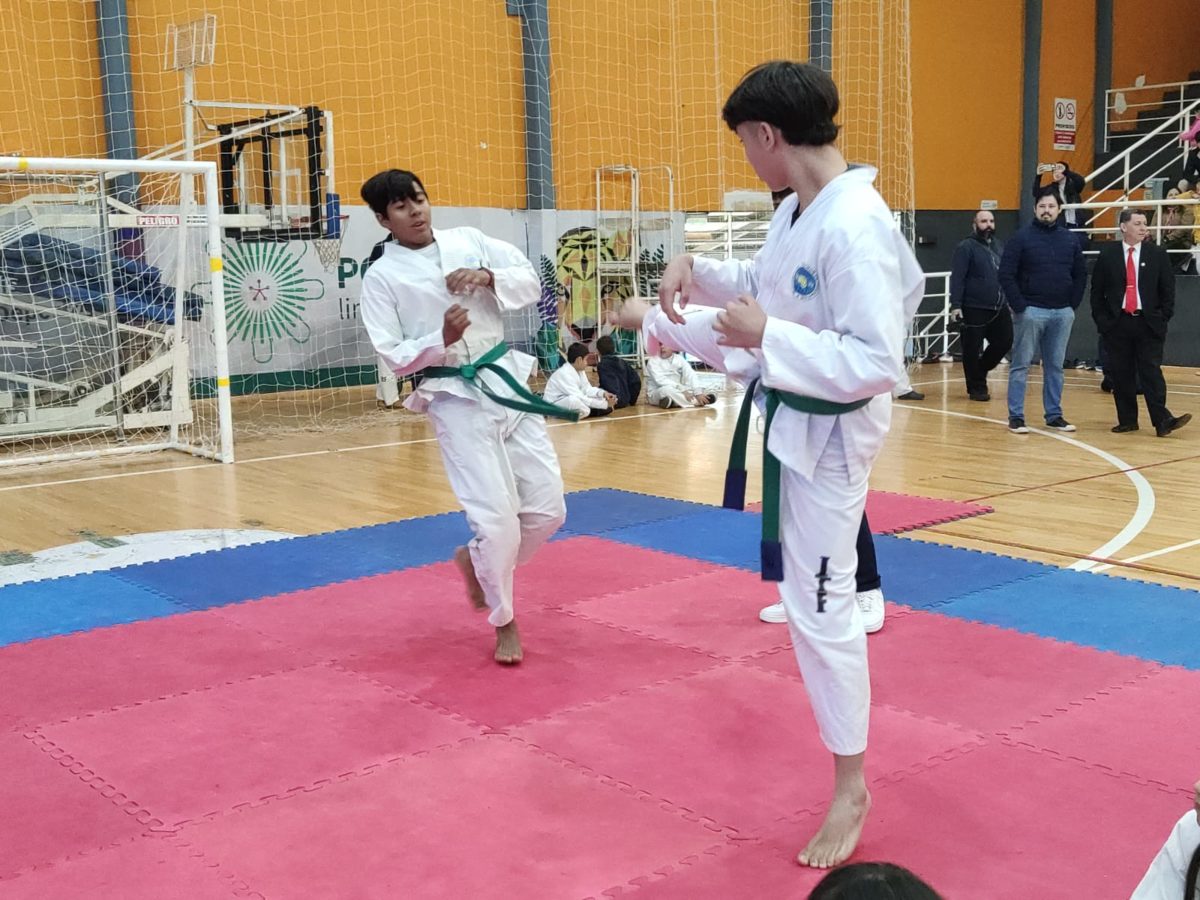 torneo taekwondo posadas (1)