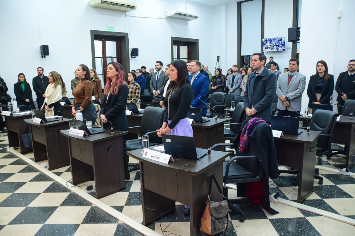 CONCEJO DELIBERANTE 2 - 1