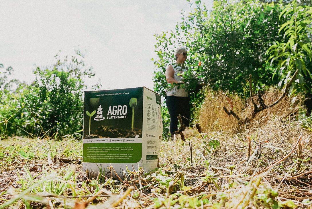 Destacan la importancia de proteger el suelo en el sector productivo por su valor natural