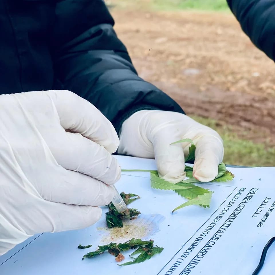 IMG 20240713 WA0009 - 7