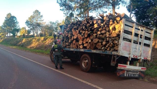 Secuestraron en Panambí madera nativa transportada de manera ilegal