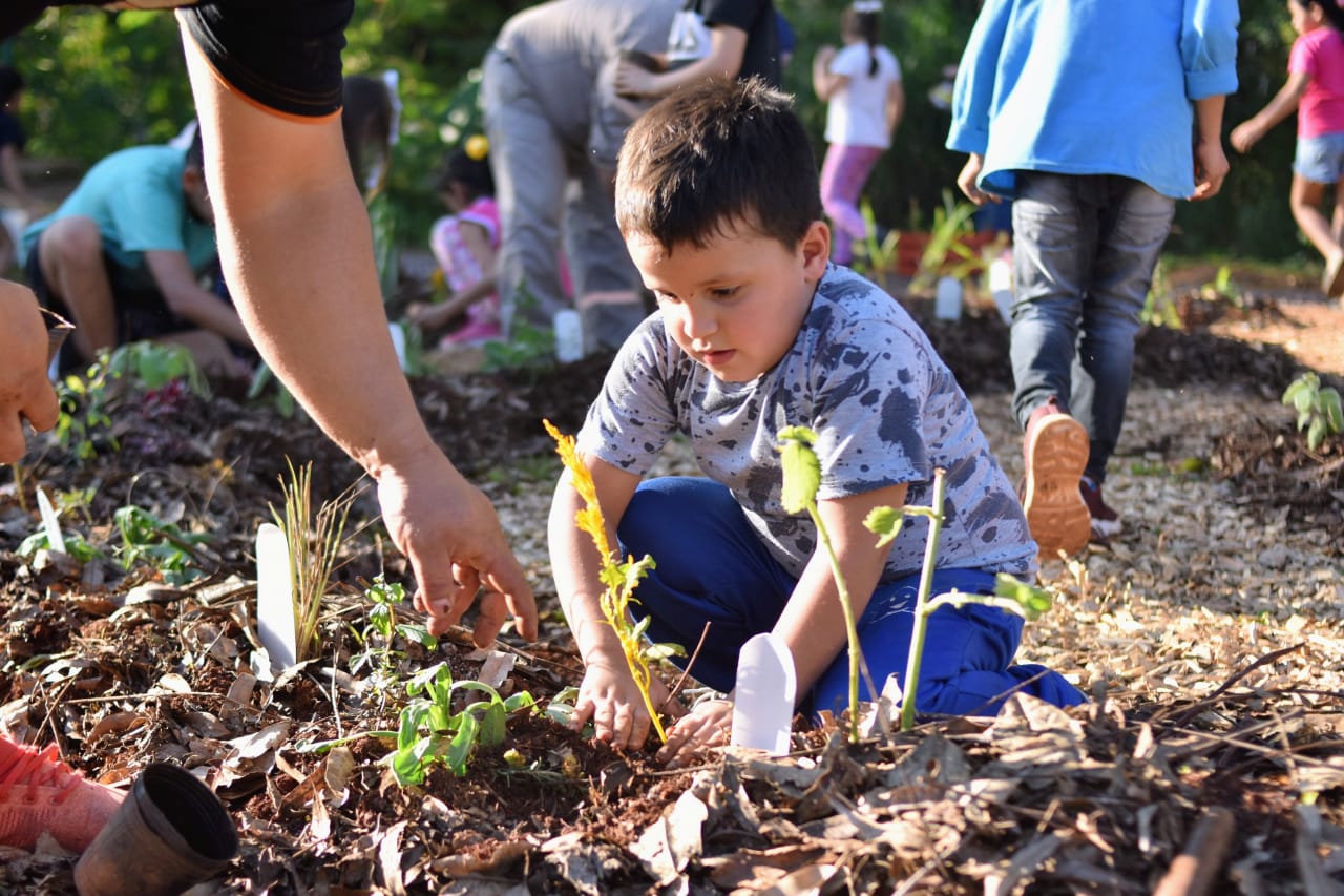 Eco Vacaciones, la propuesta de Montecarlo para los niños en este receso invernal