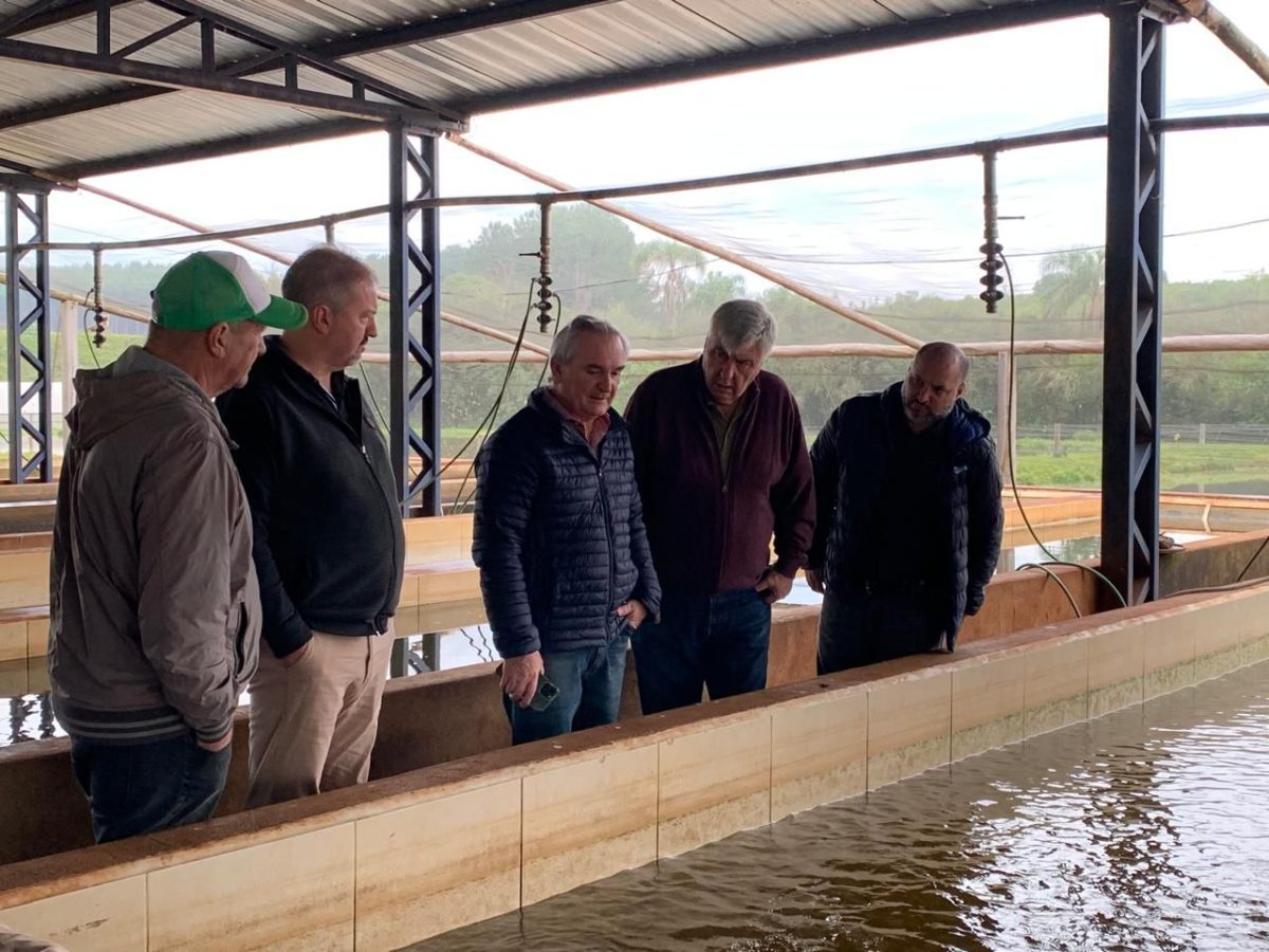 Misiones continua impulsando la acuicultura 2 - 9