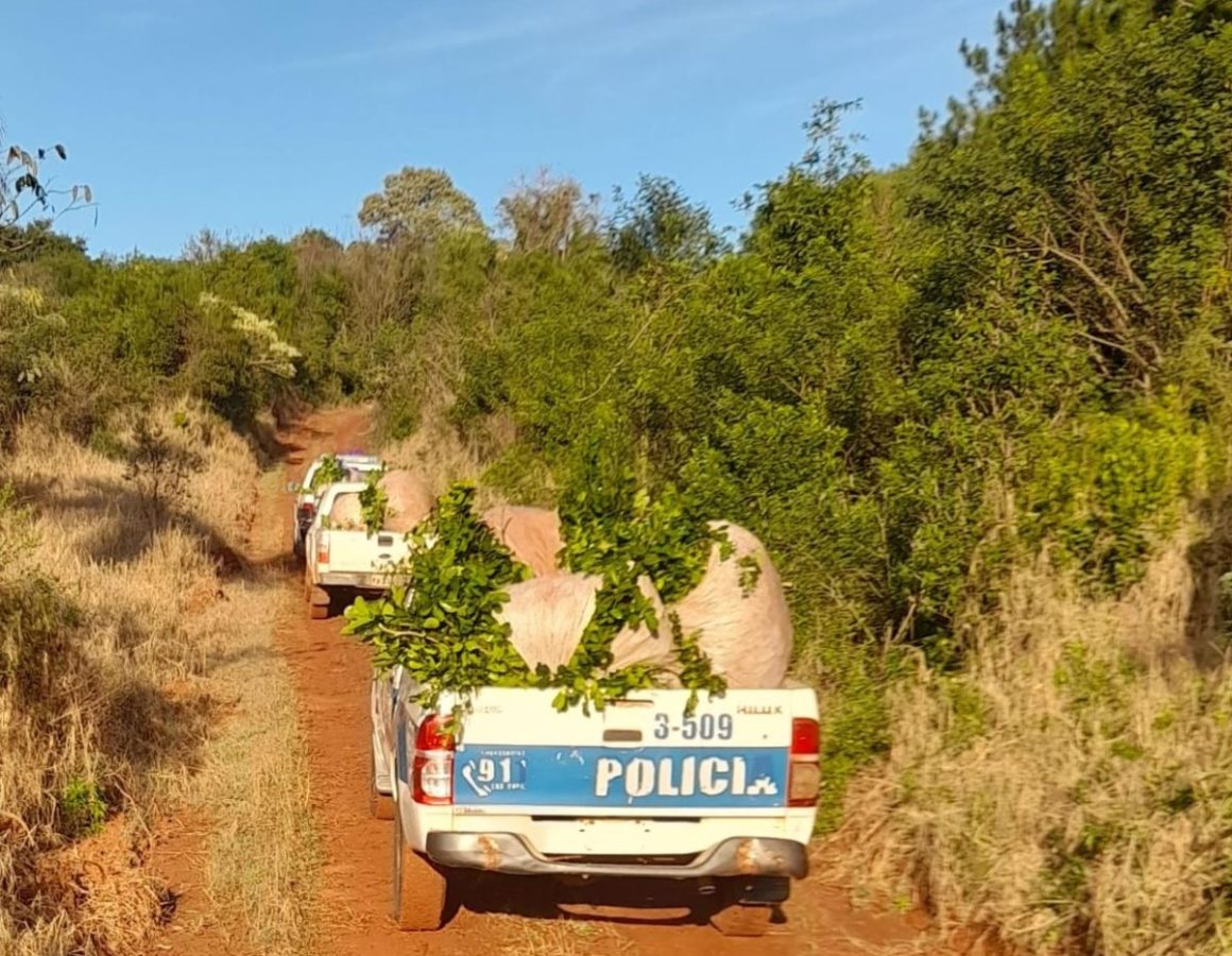 Policías rurales evitaron el robo de yerba mate a un colono y detuvieron al implicado