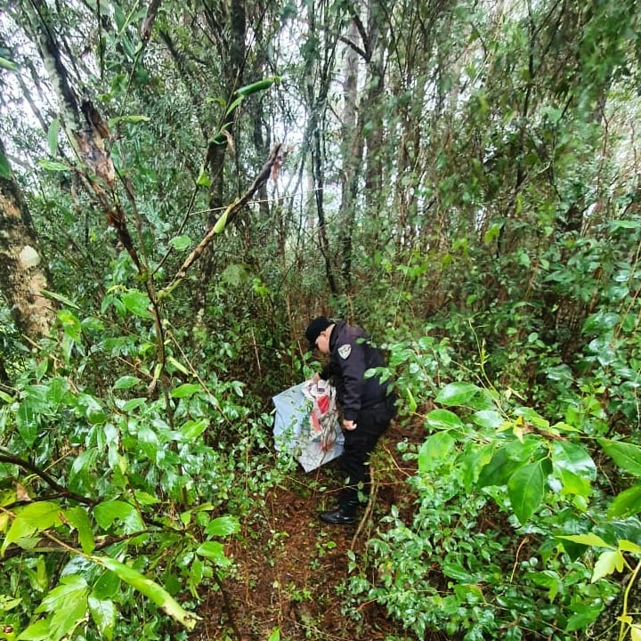 Recuperan una camioneta y elementos robados tras operativos policiales en distintos puntos de Misiones 3 - 5