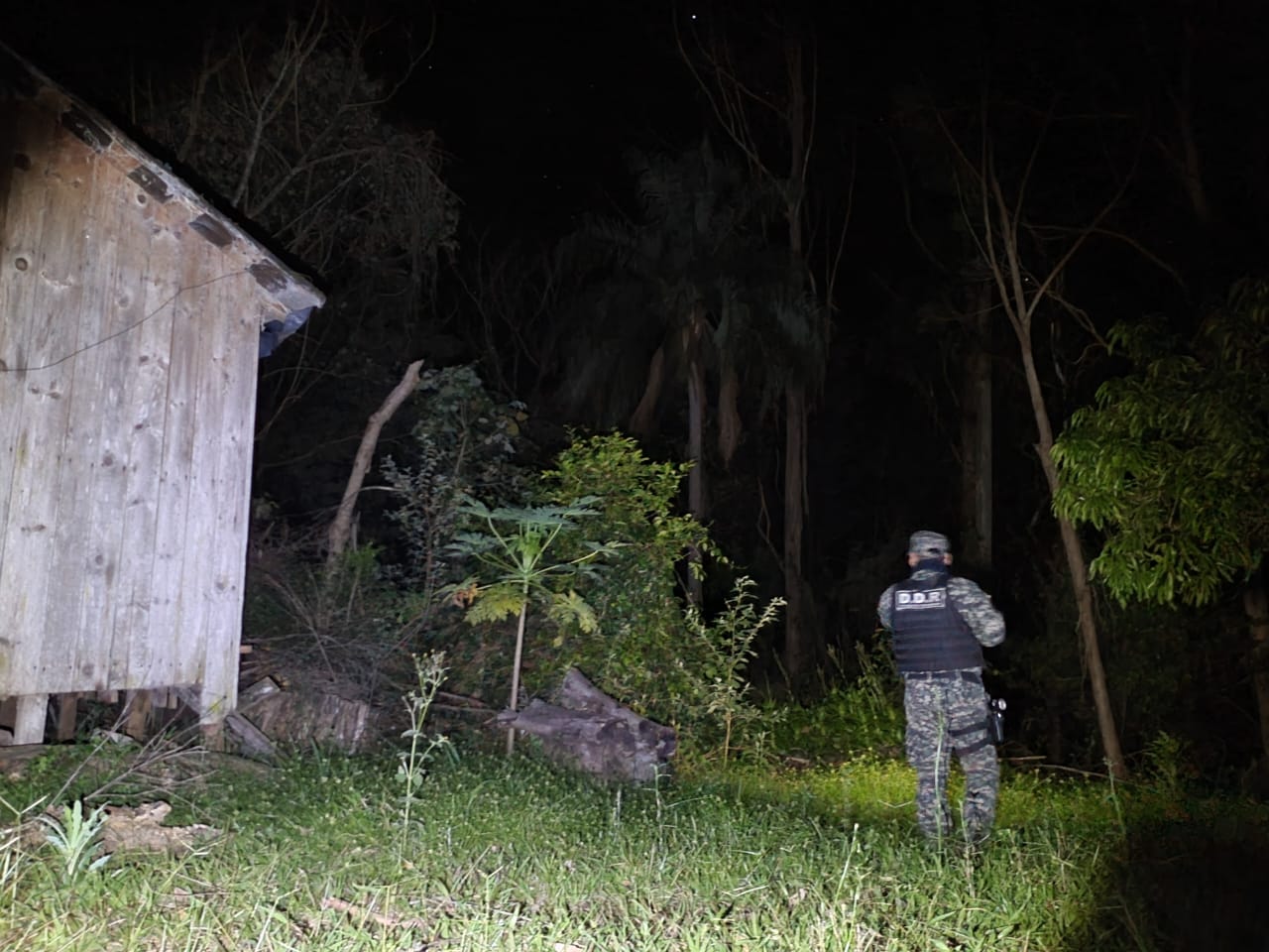 WhatsApp Image 2024 07 17 at 20.43.53 - 3