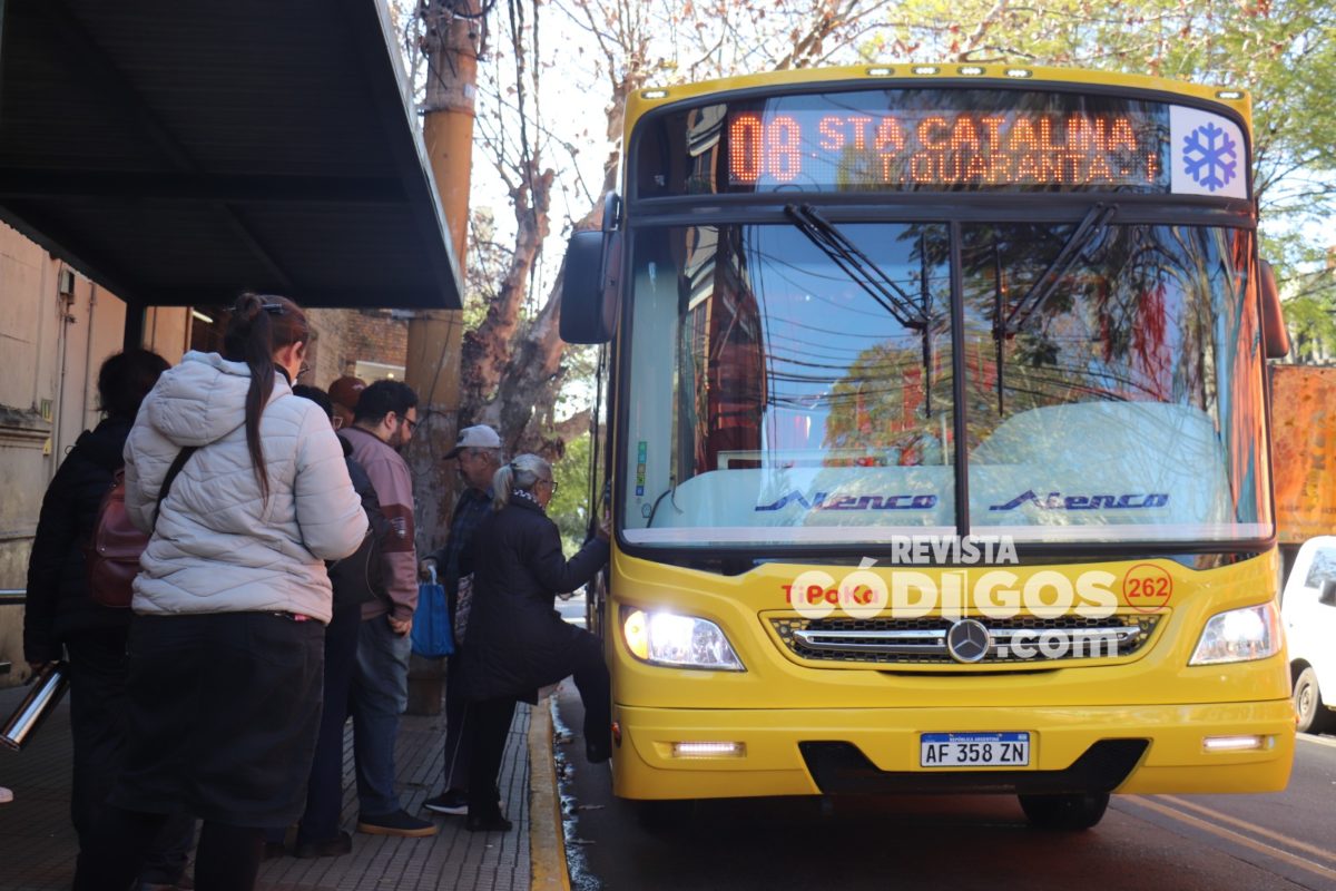 El servicio de transporte urbano se restableció en Posadas