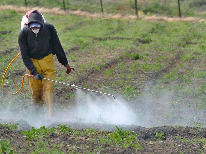 El Movimiento Agrario de Misiones reafirma su rechazo al uso del glifosato