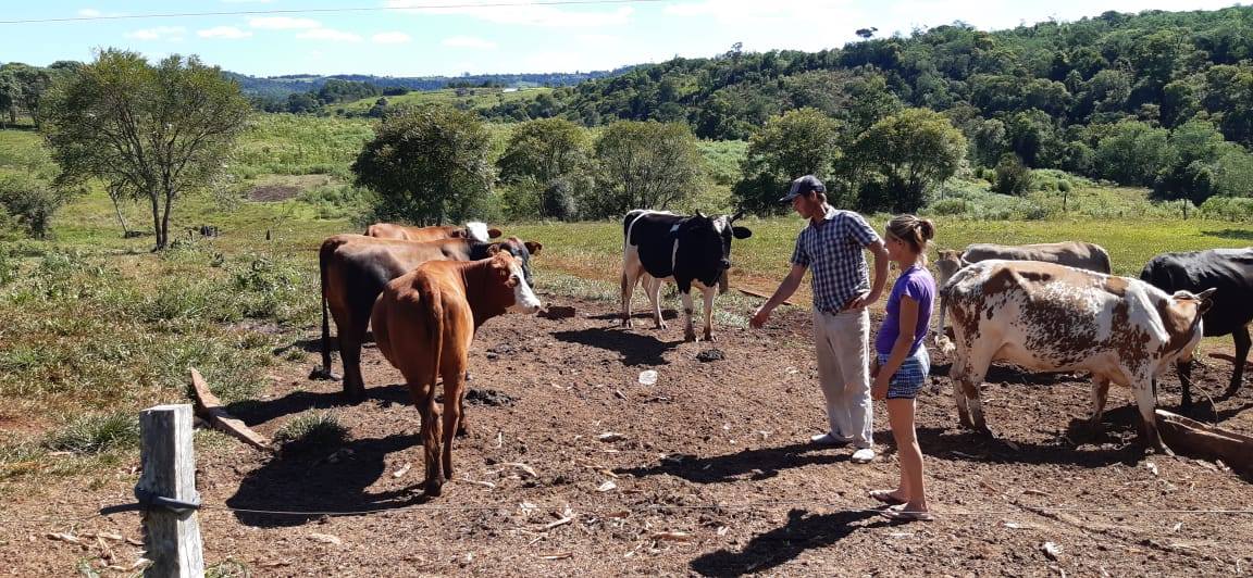 Homeopatia y bienestar animal en el Ciclo de Formacion en Agroecologia 4 - 3