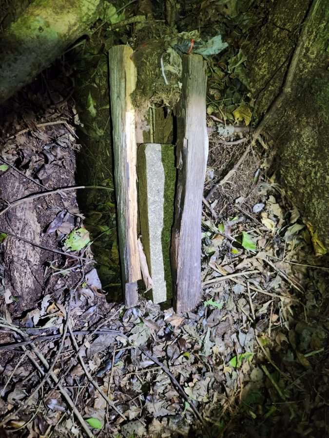 IMG 20240827 WA0004 - 3