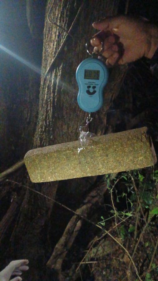 IMG 20240827 WA0007 - 5