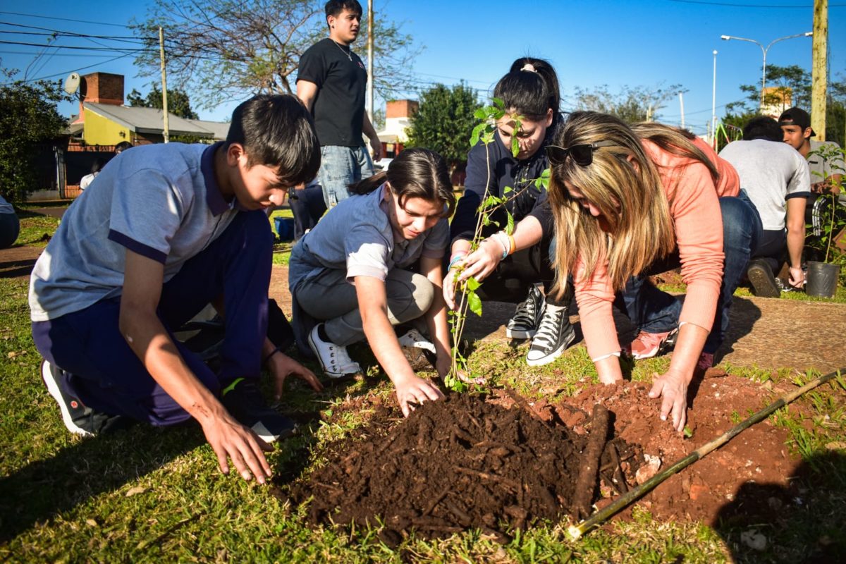 Más de 70 árboles fueron plantados en Posadas en el marco del programa "Barrios Más Verdes"