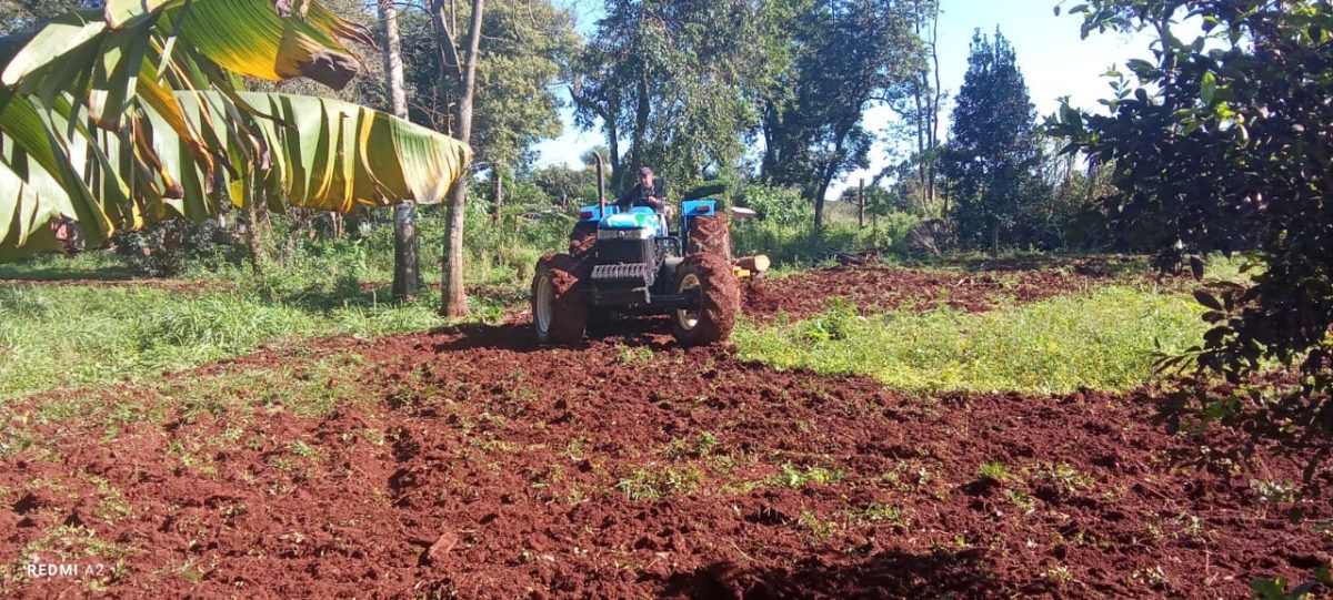 San Javier impulsa el desarrollo de la actividad agropecuaria de la region 6 - 3