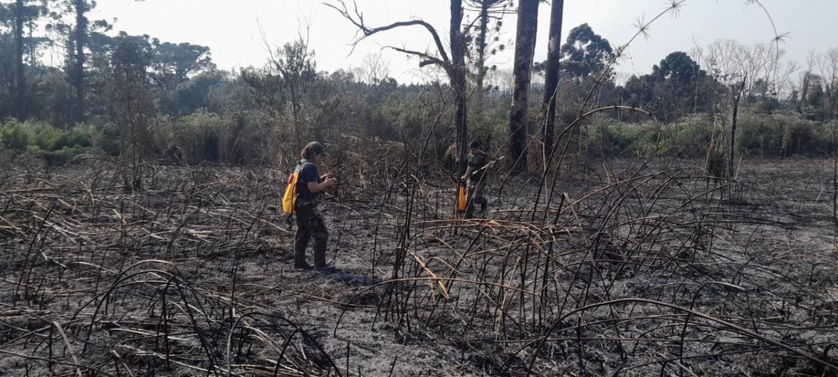 Sofocaron un principio de incendio en el Parque Provincial Araucaria