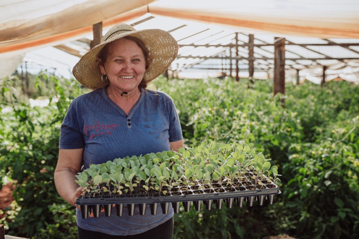 agroecología en misiones (2)