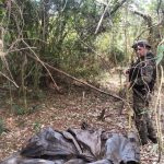 cazadores furtivos 7 - 13