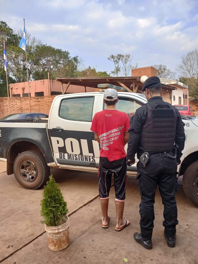 detenidos por delitos 3 - 5