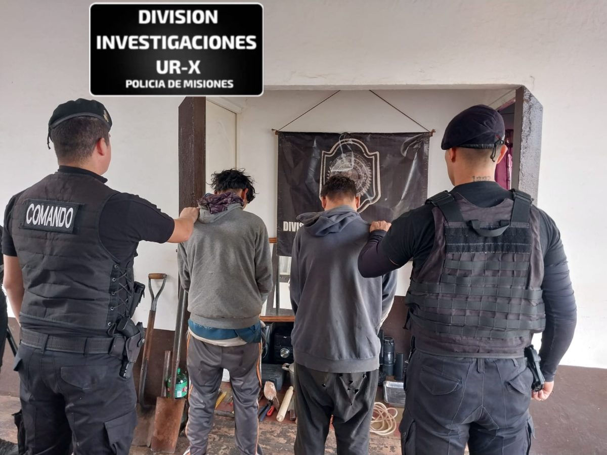 detenidos por delitos (4)