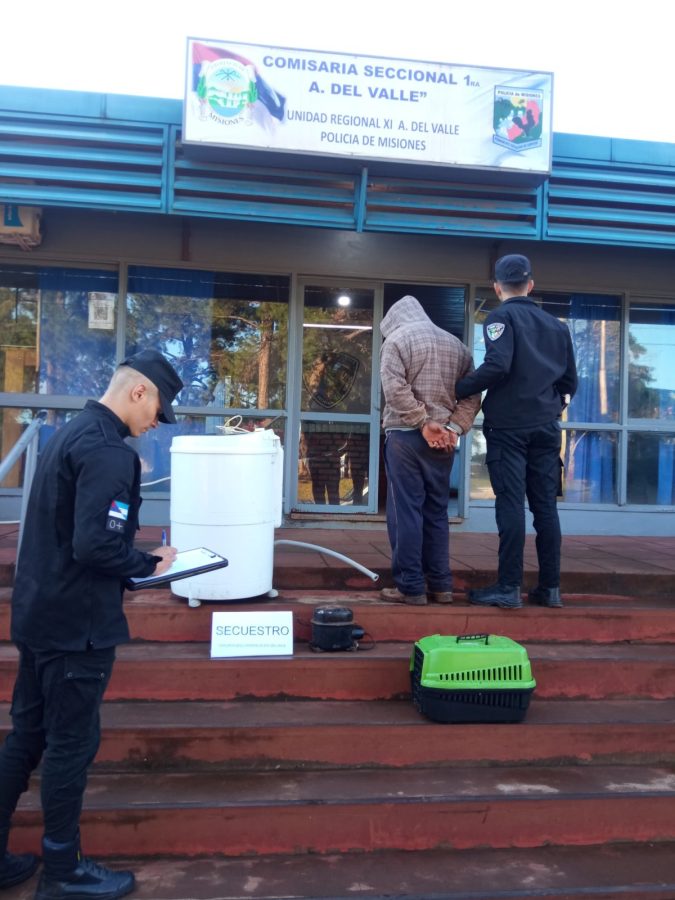 detenidos por robo 3 - 3