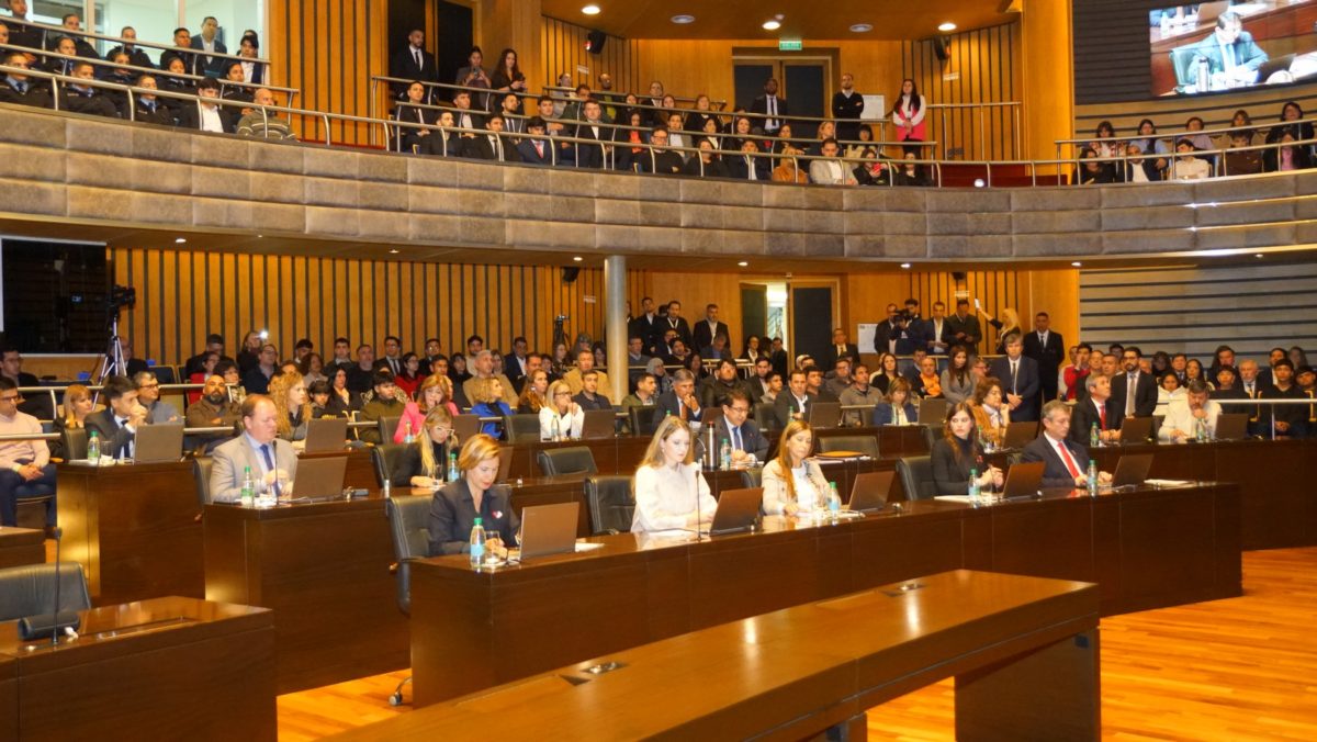 La Legislatura creó programas destinados a las personas con miastenia gravis y con encefalitis límbica autoinmune