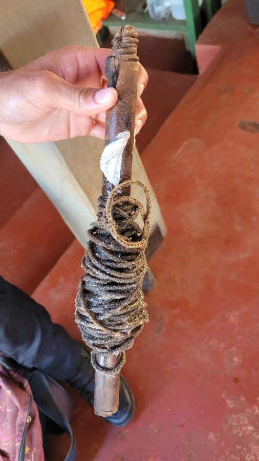 rescate de fauna 1 - 1