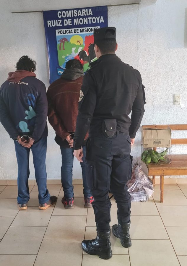 rescate de fauna 2 - 3