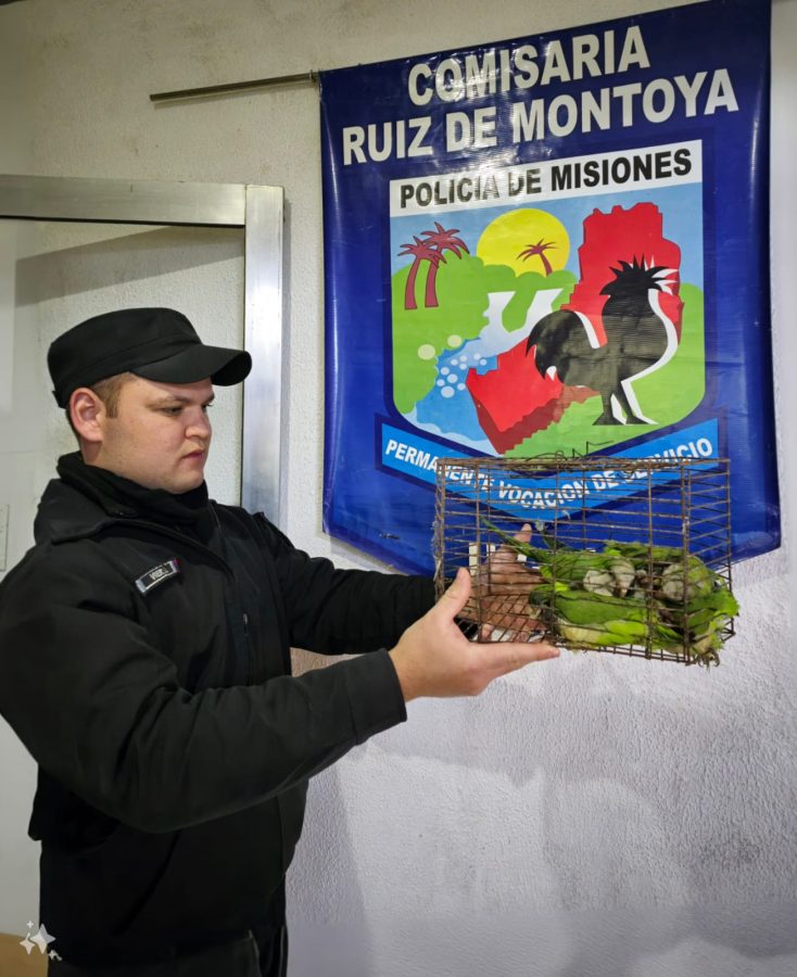 rescate de fauna 4 - 7
