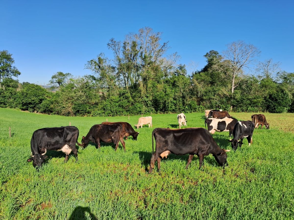 El Gobierno provincial fortalece la sanidad animal con distintas capacitaciones y controles