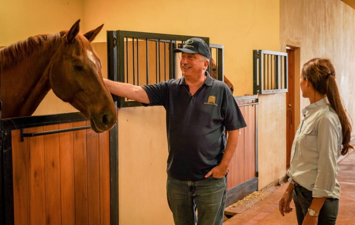 Misiones creó un Centro Provincial para la protección y preservación de equinos