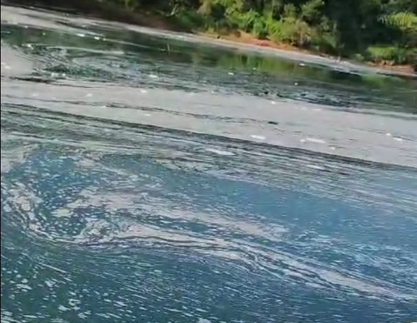 Pescadores alertan por nuevas manchas de espuma blanca sobre el río Paraná