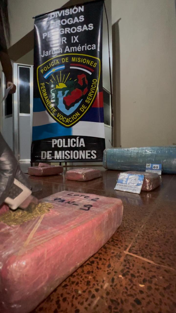 Policías intervinieron un punto de acopio de marihuana en Santo Pipó